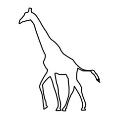 Giraffe Lines Style Icon Vector 
