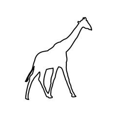 Giraffe Lines Style Icon Vector 