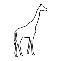 Giraffe Lines Style Icon Vector 