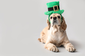 Cute Cocker Spaniel with green hat on grey background