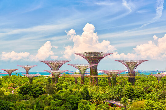 Gardens by the Bay
