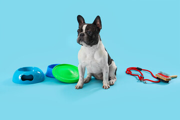 Cute French Bulldog with bowls, toy and leash on blue background