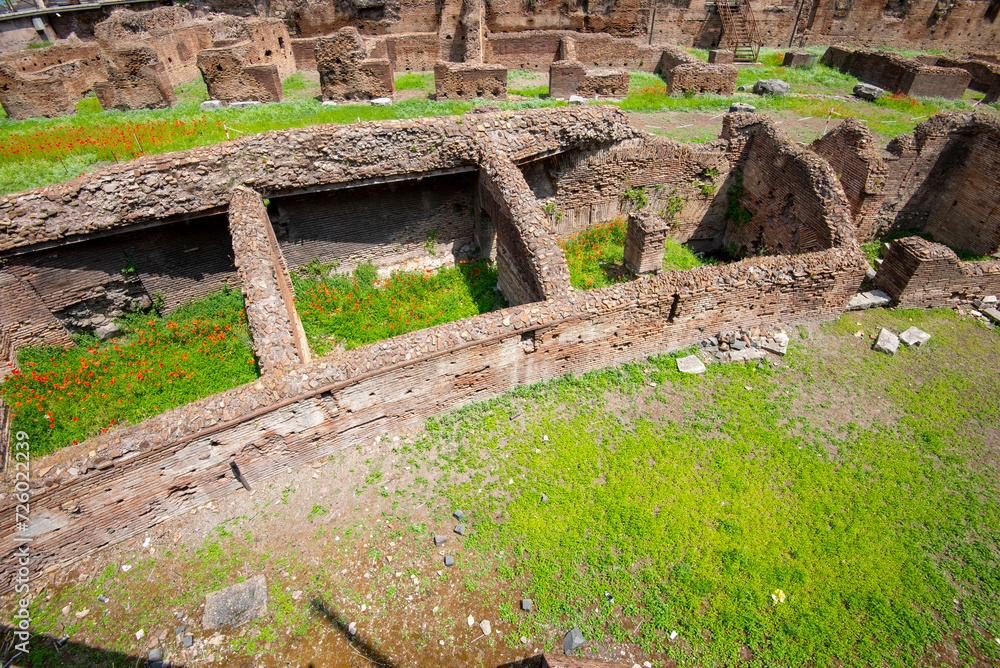 Wall mural ruins of ludus magnus - rome - italy