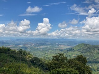PAISAJE CAFETERO. VALLE QUINDIANO