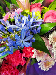 A beautiful arrangement of various colorful flowers bunched in a bouquet.