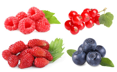 Wild berries isolated on white, collection. Raspberries, bilberries, strawberries, red currants