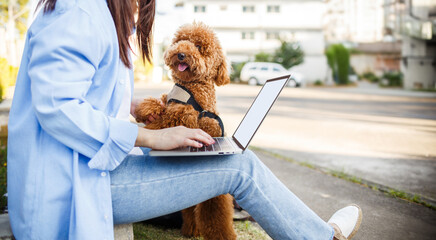 Young asian woman sitting on the side of the road in the park working on computer laptop with her pet next to her