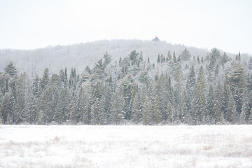 Wintry snow covered forested mountain and meadow.