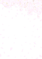 白い背景にふわふわした桜　ベクターイラスト