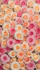 A lot of beautiful colorful roses in pale pastel colors all over the place, for a beautiful bright wall background
