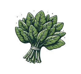 A bunch of spinach hand drawn graphic asset	