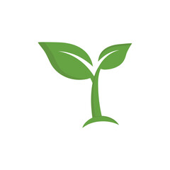 Green leaf sprout icon design template isolated illustration