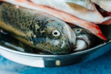 Photograph of a closed trout plan in Peru. Food concept.