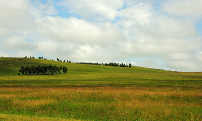 Obraz premium Gentle slopes of the hill overgrown with rare trees on the edge of the picturesque steppe under the summer cloudy sky.