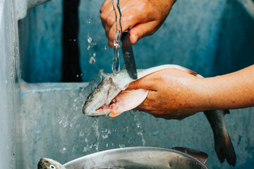 Photograph of hands removing the scales from a trout for food preparation. 