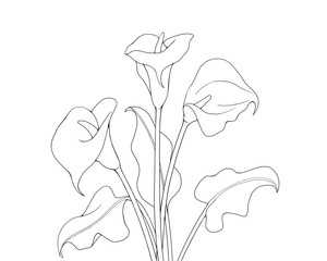 カラー（花と葉）のアレンジメントの線画イラスト