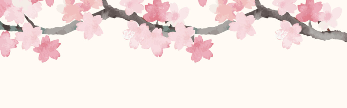 バナー　春　フレーム　桜　さくら　サクラ　花　水彩　背景　コピースペース　イラスト素材