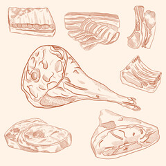 Set of different types of meat, graphic representation of pork, tenderloin, neck, ham isolated elements of meat business, jamon, prosciutto, meat products, color