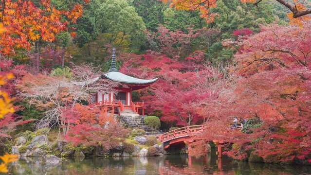 4k time lapse of Japanese autumn fall, Kyoto Daigoji temple, Kyoto, Japan.