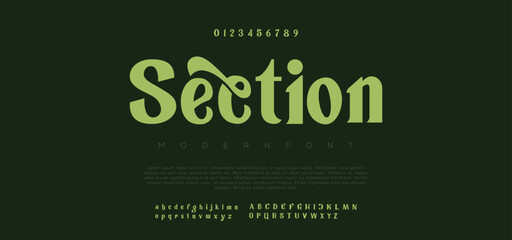 Section Elegant modern alphabet letters font. Classic Lettering Minimal Fashion Designs. Typography modern serif fonts regular decorative vintage concept. vector illustration - obrazy, fototapety, plakaty