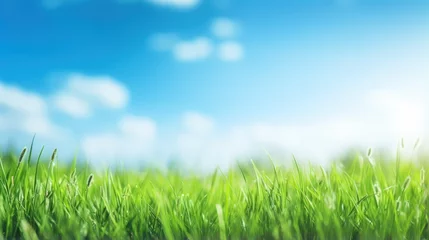 Foto op Plexiglas Green grass field and blue sky create a summer landscape background with a blurred effect. © crazyass