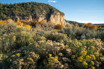 Fall colors and desert brush surround a prominant rock formation