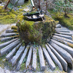 Japanese garden of Hosen-in temple in Kyoto, Japan