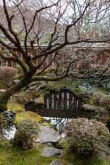 Japanese garden of Hosen-in temple in Kyoto, Japan