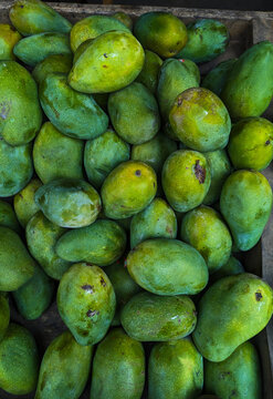 fruit basket containing ripe mangoes, a tropical fruit.