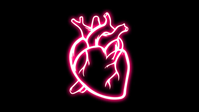 Medical cardiology pictogram. Heart Neon Label. Vector Illustration of Medical Human Health Objects. Medical structure of the neon human heart.