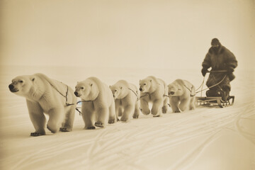 Vintage photo from the late 1800's of an Inuit hunter on his sled with his team of Polar Bear mushers - obrazy, fototapety, plakaty