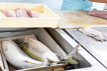 魚市場で解体されるブリ
