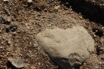 Weathered Smooth Rock in Sand of Beach Area, Geology Rocks
