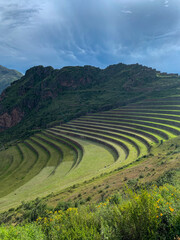 Fototapeta na wymiar INCA Terrace agriculture