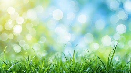 green grass and blue sky abstract bokeh background