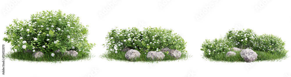 Poster flower unit set isolate transparent background.3d rendering png
