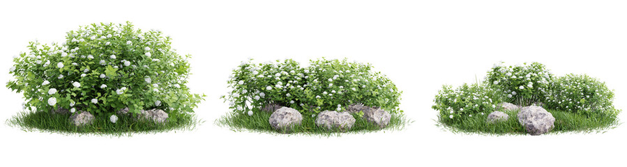 Flower unit set isolate transparent background.3d rendering PNG