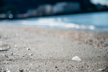 神奈川県の逗子海岸