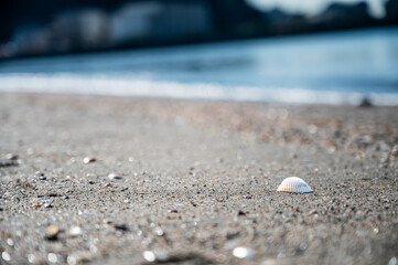 神奈川県の逗子海岸