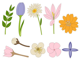 A Set of spring elements such as orange flower, daisy, crocus, apple blossom, frangipani, tulip, and others in a hand-drawn minimal floral concept, Vector