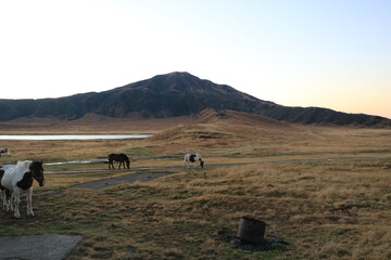 草千里ヶ浜の馬　熊本県　阿蘇山
