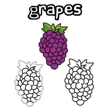 Coloring pictures of grapes and connecting the dots for kindergarten children 