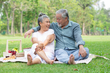 senior couple having a picnic, embracing and looking each other in the park