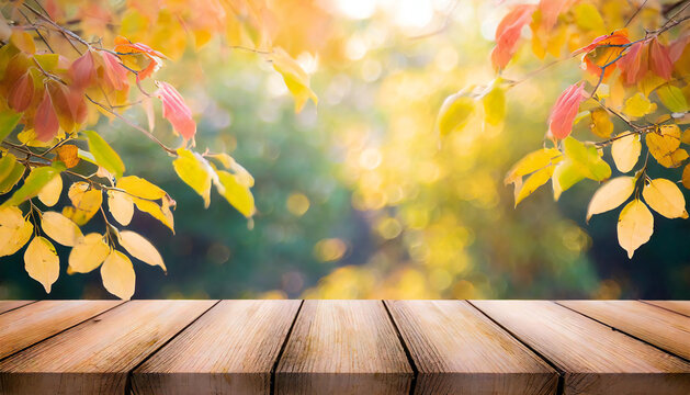 Autumn image and wooden table material.