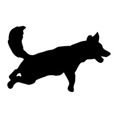 silhouette of a black dog standing