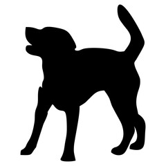 silhouette of a black dog standing
