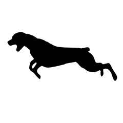 silhouette of a black dog standing