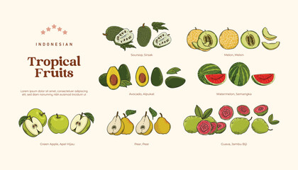Isolated Tropical fruits illustration, Indonesian healthy fruits design element