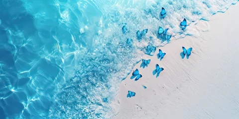 Crédence de cuisine en verre imprimé Papillons en grunge Beach with blue butterflies beautiful light.
