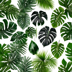 Tropical plant green leaves shrub flowers isolated on white background for background or texture use